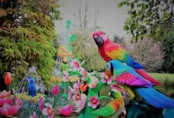 Parrot Lanterns @ The Magical Lantern Festival 2017 @ Chiswick House