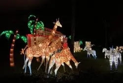 Magical Lantern Festival 2017 - Noah's Ark