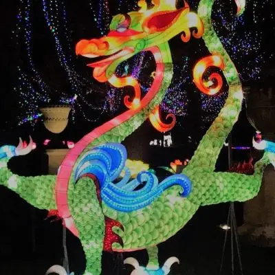 Magical Lantern Festival 2017_Dragon